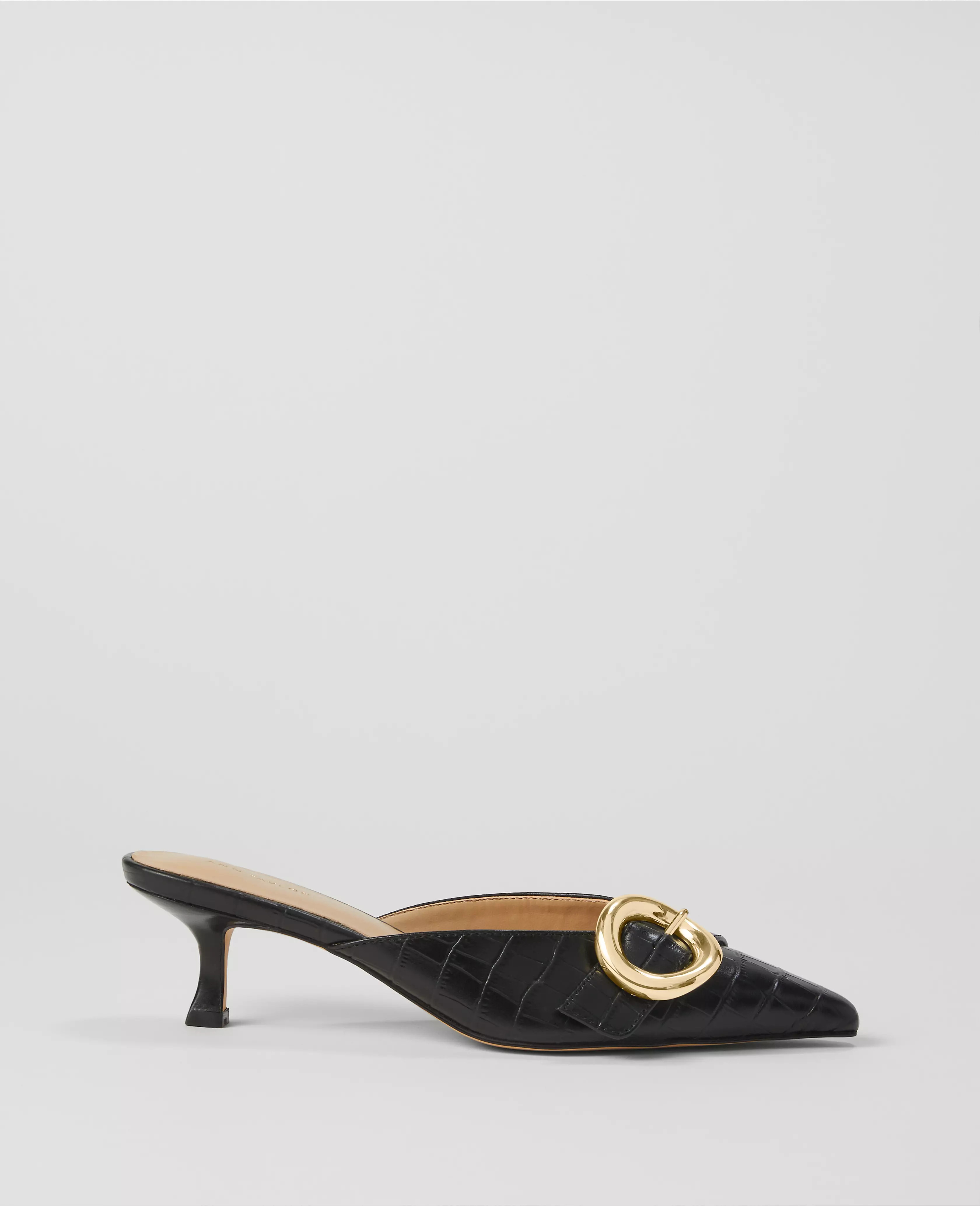 Ann Taylor | Ann Taylor