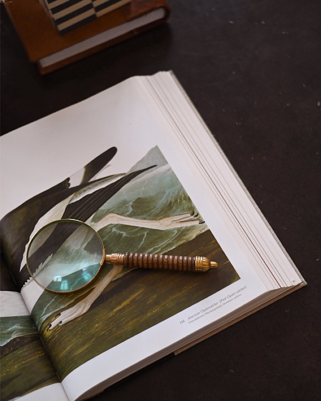 I keep this beautiful coffee table book out for my kids to flip through.  We enjoy the art together. It’s so beautiful! Plus, a magnifying glass is fun  


#LTKHome #LTKFamily #LTKKids