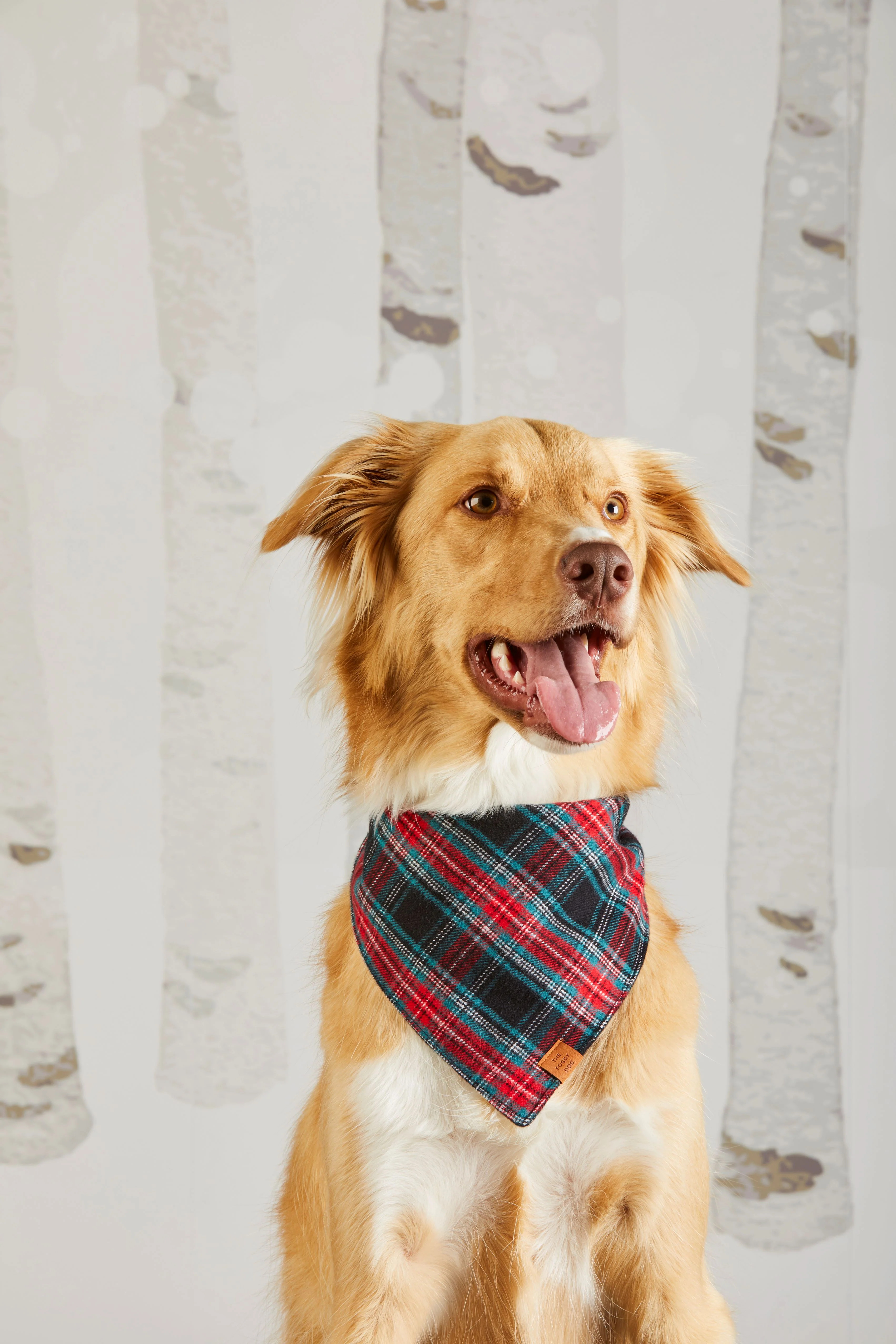 DJ x TFD Bandana in Georgia Plaid | Draper James (US)