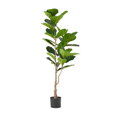 GDFStudio Stilwell Artificial Fiddle Leaf Fig Tree, Green, 5' x 2' | Target