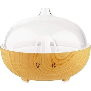 LEMON + Co. 150 ml Cool Mist Air Humidifier Ultrasonic Aroma Essential Oil Diffuser for Office, H... | Amazon (US)