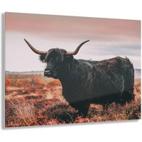 Black Highland Cow, Wall Decor, Home Gifts, Farmhouse Holiday Western, Rustic, Acrylic | Etsy (US)