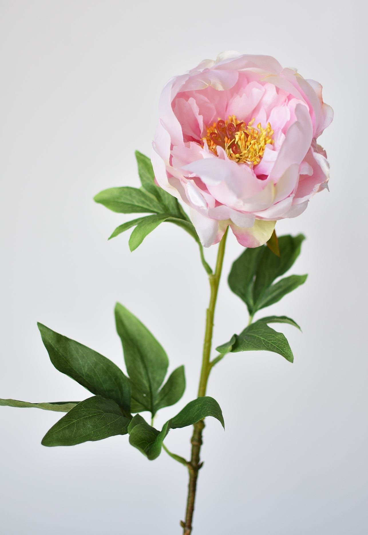 22" Faux Pink Peony Stem | HouseFloral