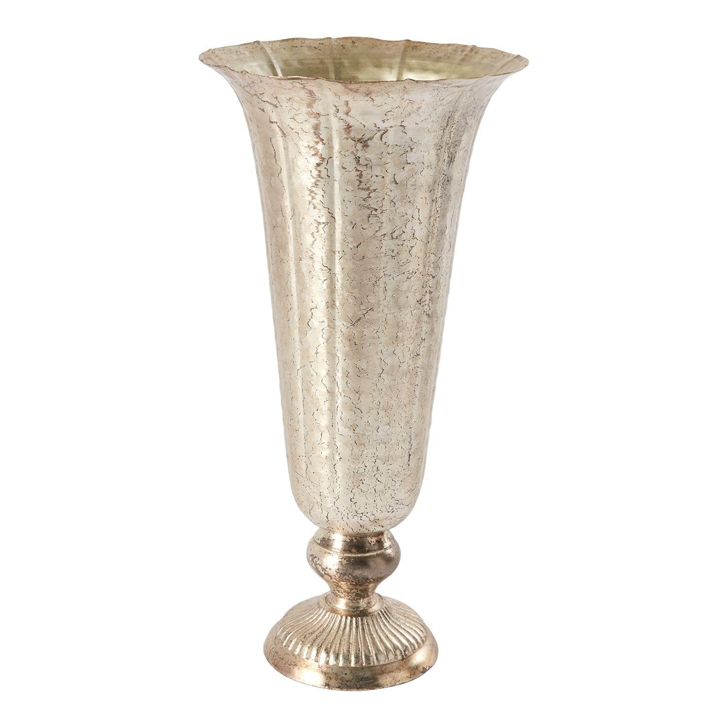 Lita Distressed Metal Vase | Indoor/Outdoor Decor - Champagne Flute Shape (6.5"x14") | Amazon (US)