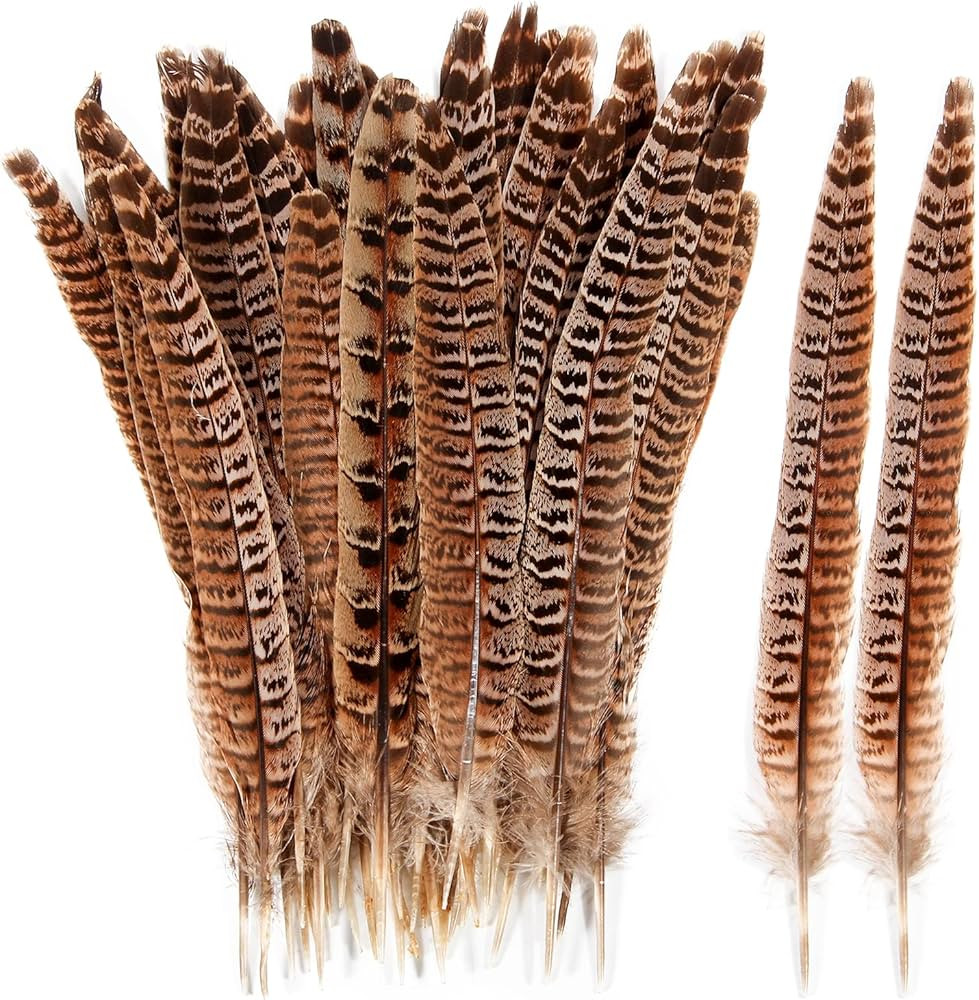 THARAHT 24pcs Female Ringneck Pheasant Tails Feathers Natural Feathers 10-12inch 25-30cm for Craf... | Amazon (US)