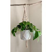 Macrame Plant Hanger Natural Beige Cream - Plant Holder Indoor Hanging Macrame Home Decor Boho Style | Etsy (CAD)