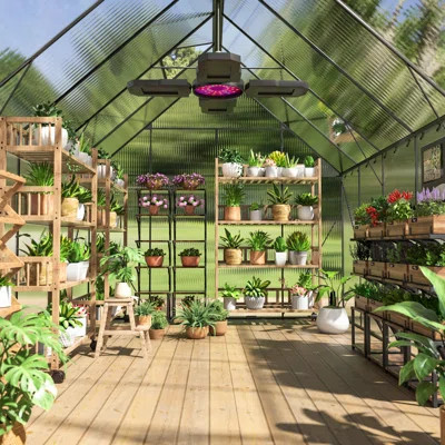 6x12 Garden Greenhouse With Metal Sun Room, Protection & Lockable Hinged Door Steel For Garden, Backyard Adjustable Ventilation | Wayfair North America