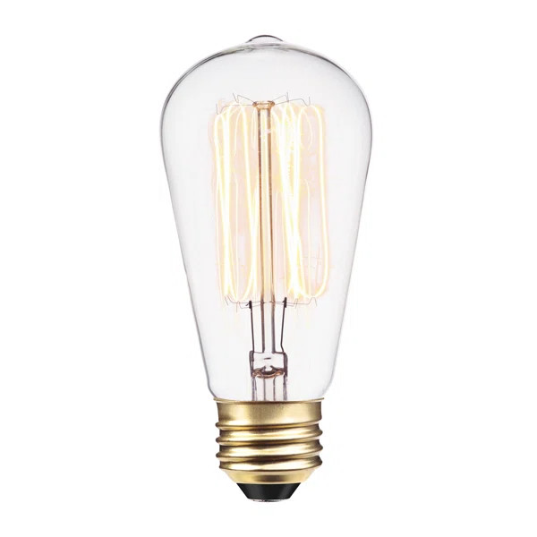 01321 60 Watt (60 Watt Equivalent), ST19 Incandescent, Dimmable Light Bulb, Warm White (2200K) E2... | Wayfair Professional