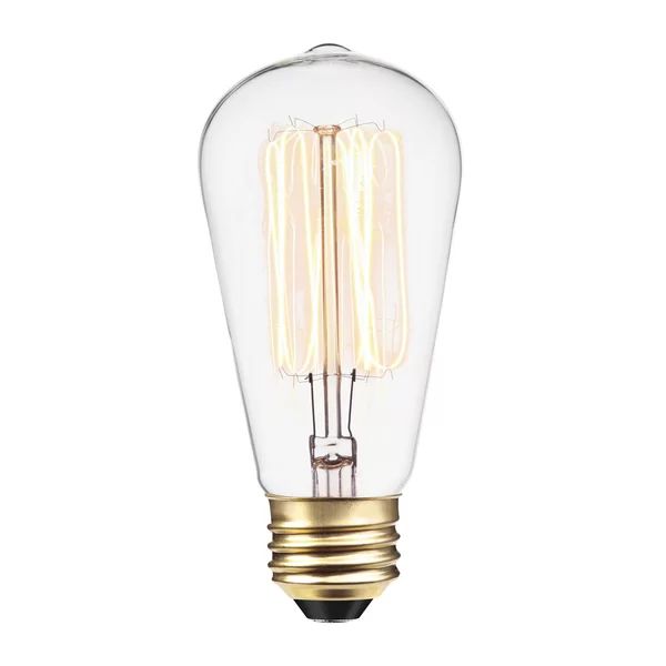 01321 60 Watt (60 Watt Equivalent), ST19 Incandescent, Dimmable Light Bulb, Warm White (2200K) E2... | Wayfair Professional