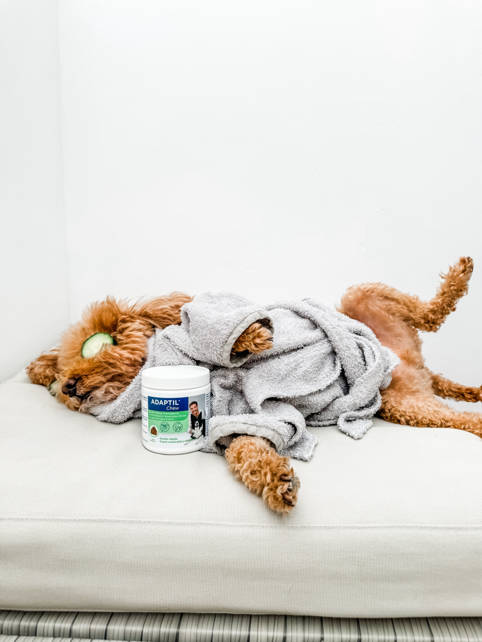 Calming products for anxiety in your dog! #dogs #anxiety #dog 

#LTKfamily #LTKfindsunder50