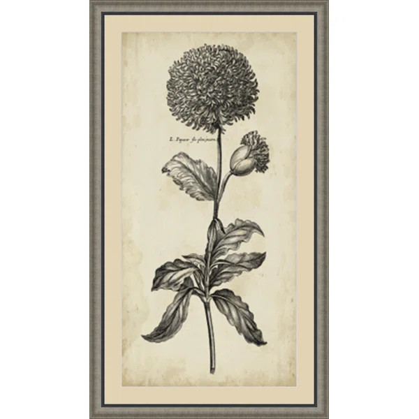 'Singular Beauty II' Framed Painting Print | Wayfair North America