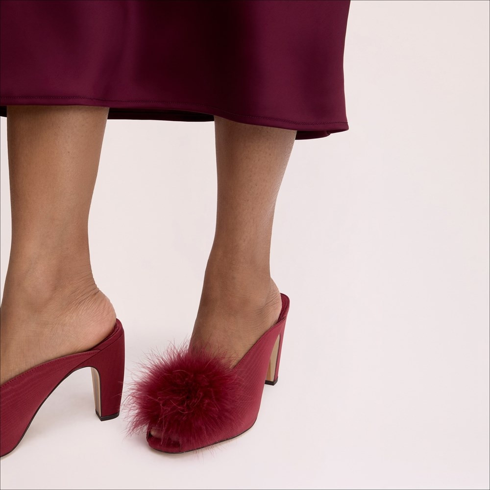 Witney Dress Mule | Sam Edelman