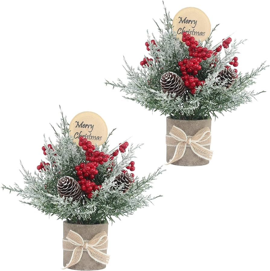 Amazon.com: JIALEIXI 2PCS Small Christmas Tree,Tabletop Mini Xmas Tree,9" Artificial Little Potte... | Amazon (US)