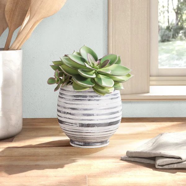 Martine Striped Stoneware Pot Planter | Wayfair North America