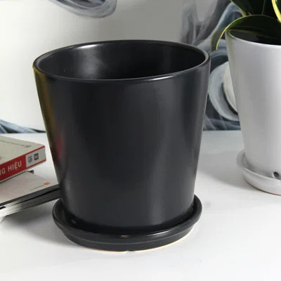 Pansy Ceramic Pot Planter | Wayfair North America