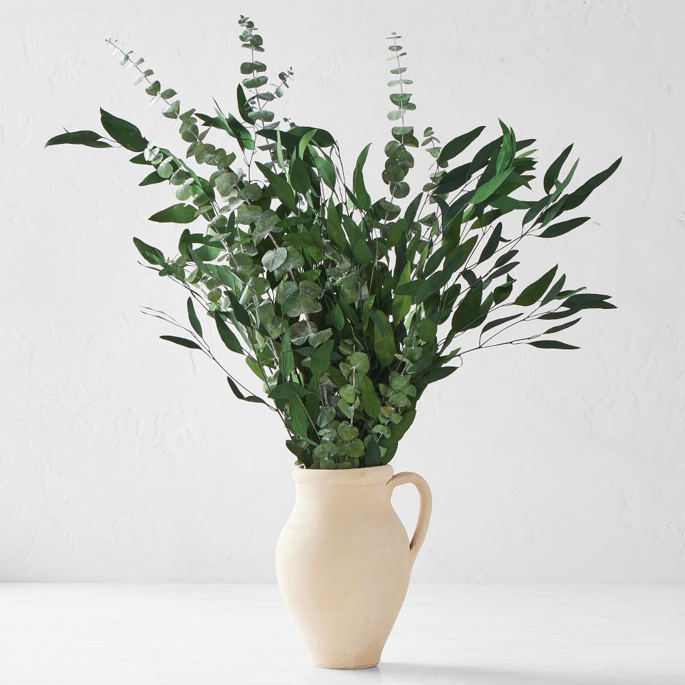 Dried Green Eucalyptus Bunch | Williams-Sonoma