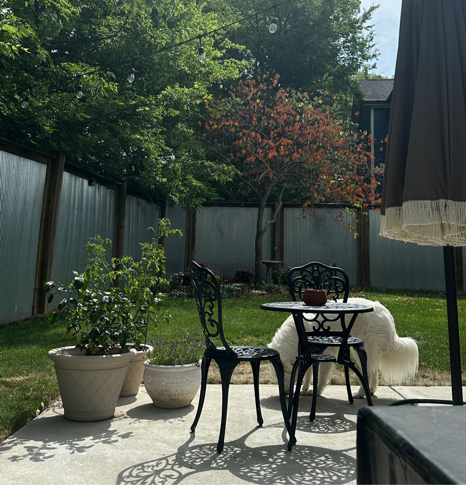 Backyard essentials. 
Bistro set, European patio decor, European inspired decor, French country patio decor, outdoor decor, chic outdoor decor. Garden must haves. 

#LTKHome