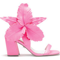 HIBICSUS - 9.5 | Cecelia New York