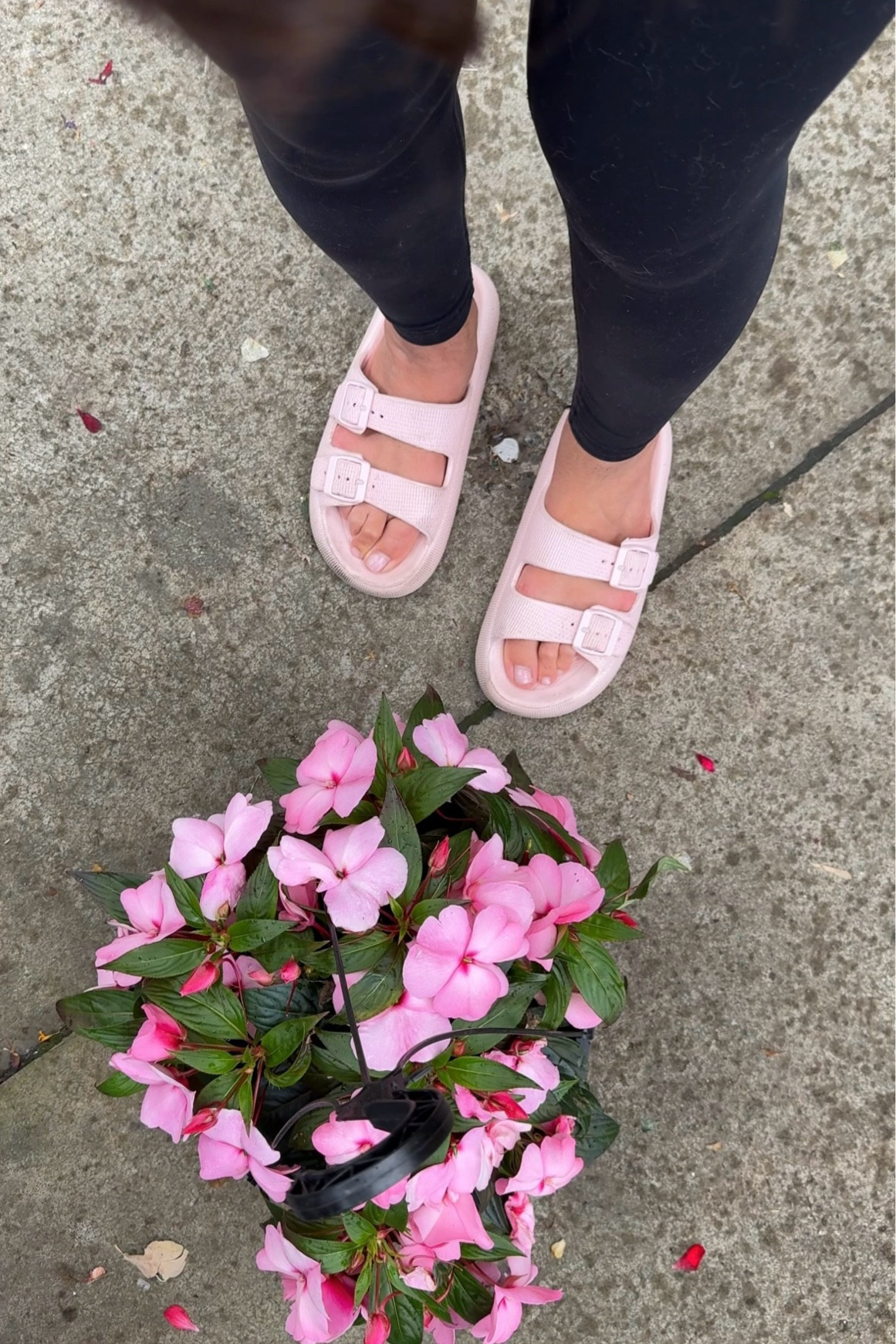 Comfiest pink slides from
Amazon 


#LTKsummer #LTKtravel #LTKstyletip
