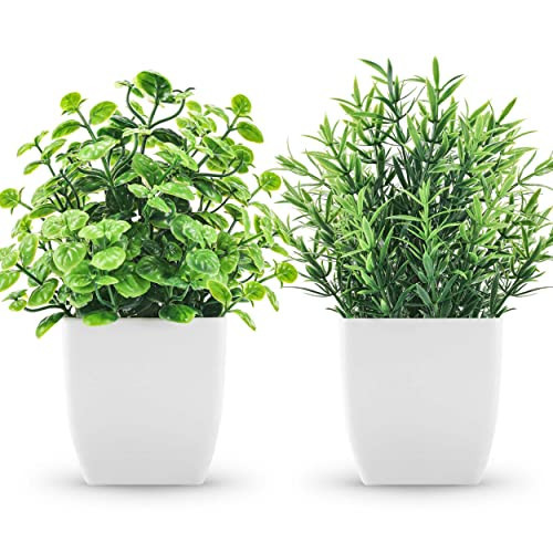 ZJIA 2 Pack Fake Plants Small Artificial Greenery Faux Plants Indoor for Home Farmhouse Bathroom Shelf Decor | Amazon (US)