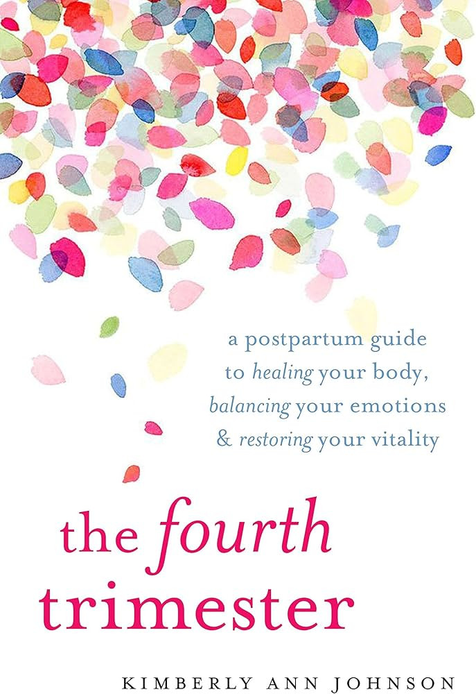 The Fourth Trimester: A Postpartum Guide to Healing Your Body, Balancing Your Emotions, and Resto... | Amazon (US)