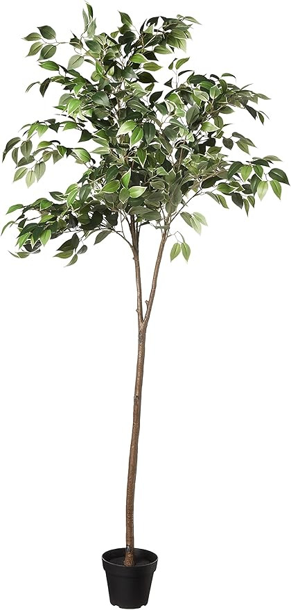 Amazon Basics Artificial Ficus Tree Fake Plant with Plastic Planter Pot, 63-Inch | Amazon (US)