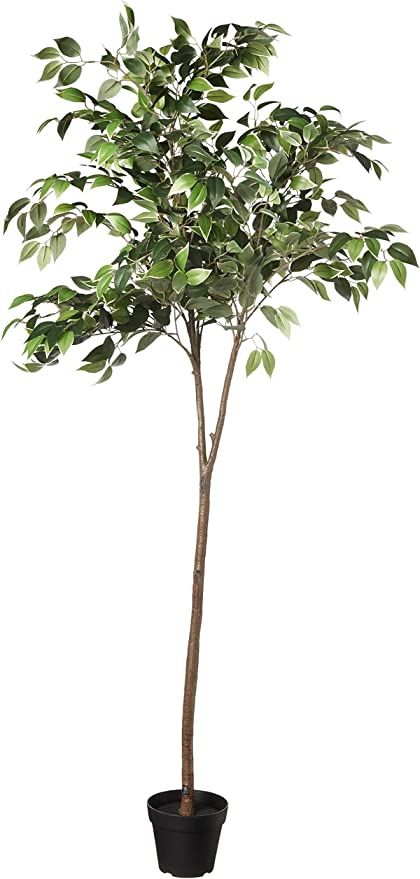 Amazon Basics Artificial Ficus Tree Fake Plant with Plastic Planter Pot, 63 Inch, Green | Amazon (US)