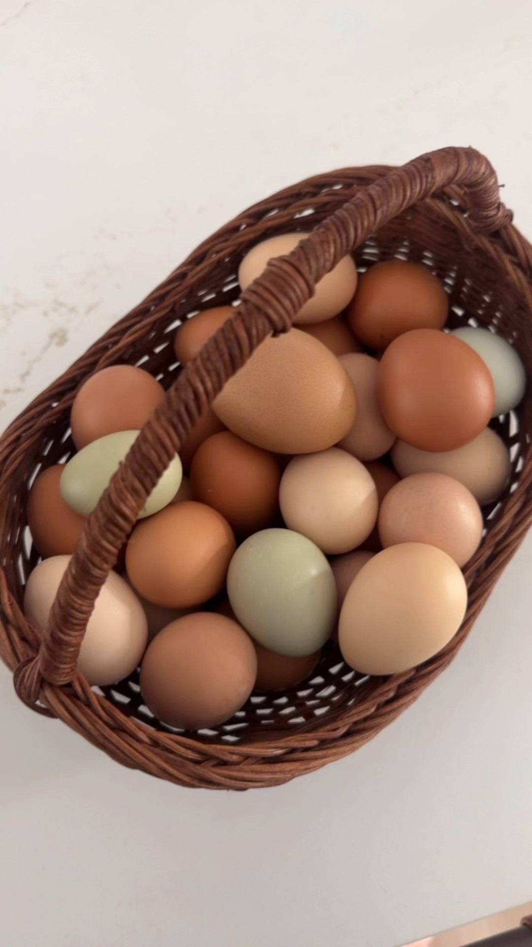 The cutest little basket for only $10 by Target threshold. Perfect for collecting eggs, but would also be great for collecting fruits and veggies or just to sit around and be decorative.  I ordered two of them


#LTKSeasonal #LTKSaleAlert #LTKHome