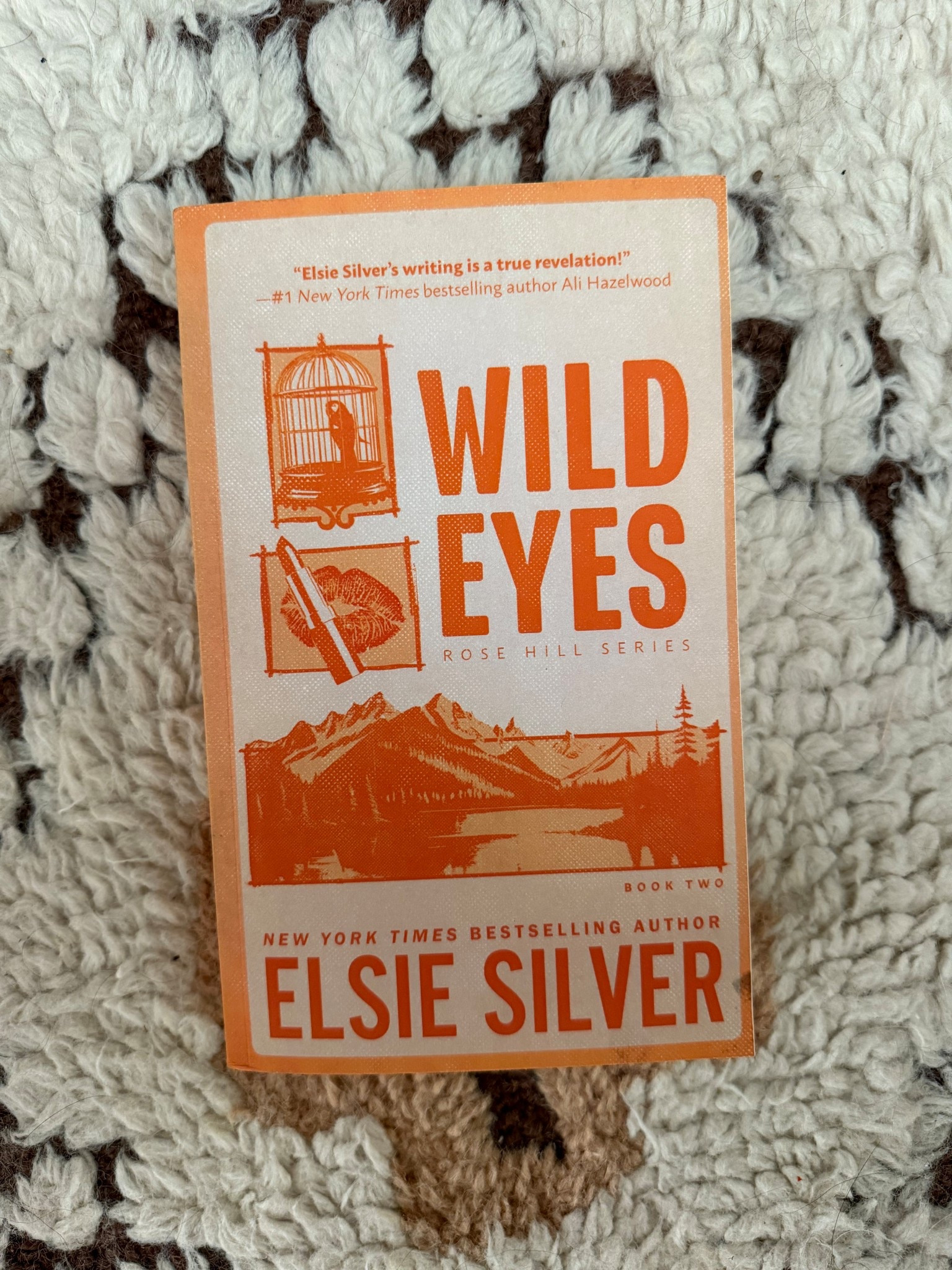 Wild Eyes by Elsie Silver 