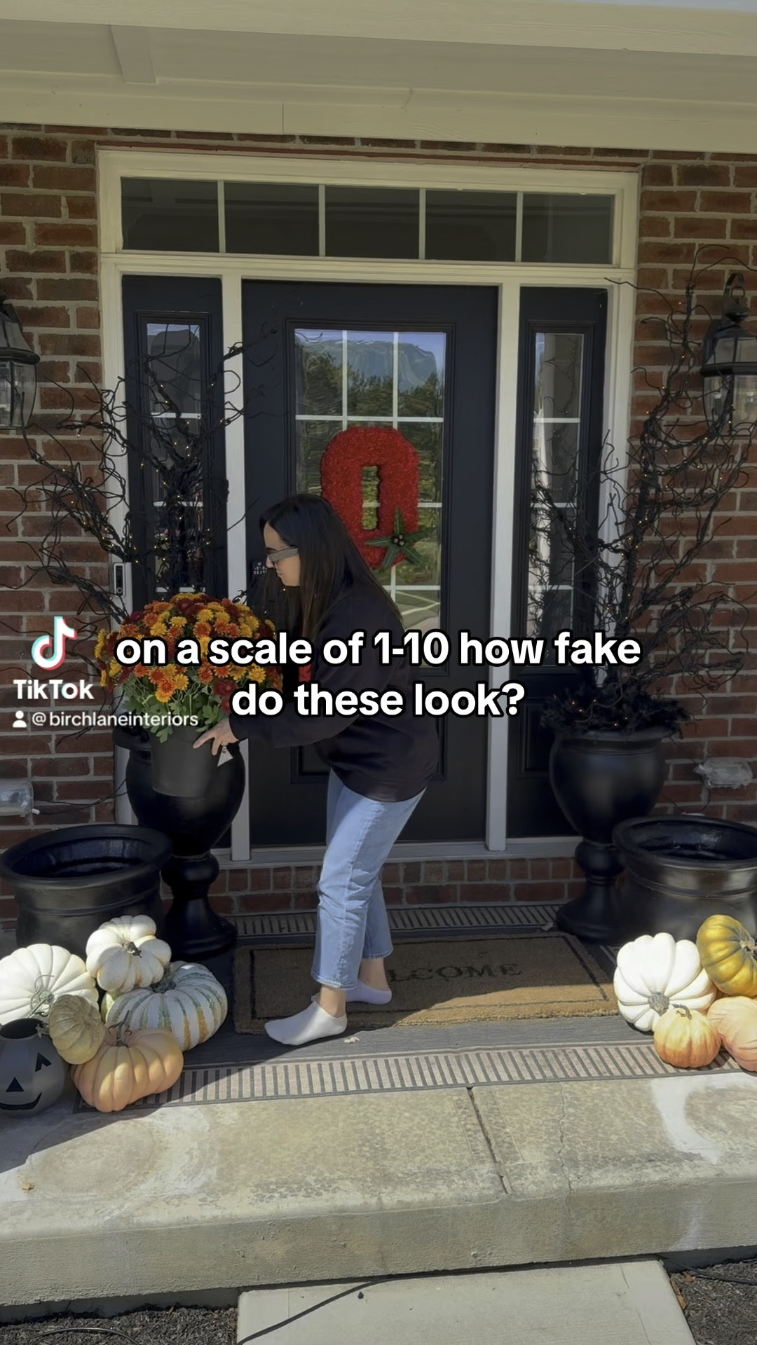 Faux mums 