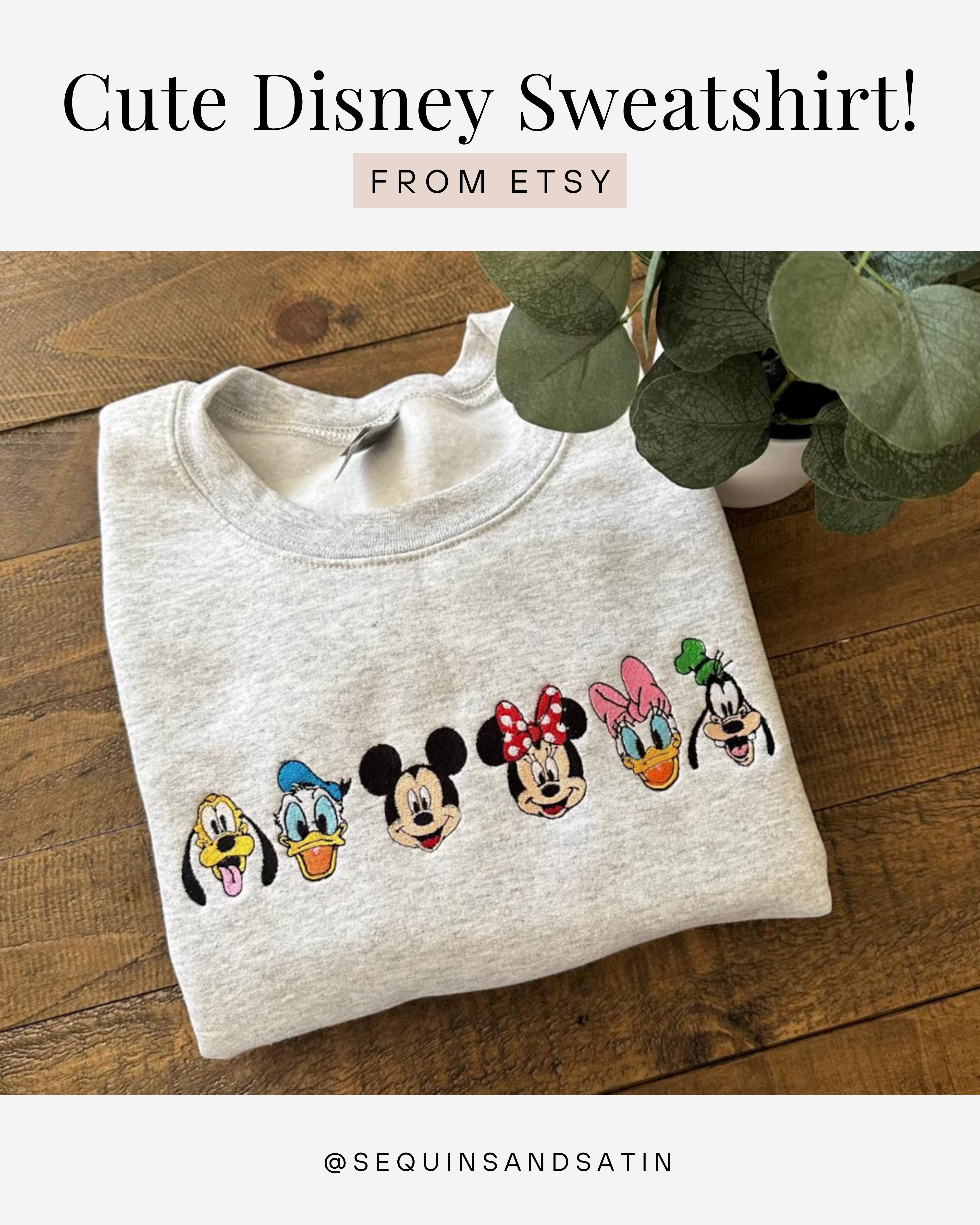 Disney sweatshirt! 

 