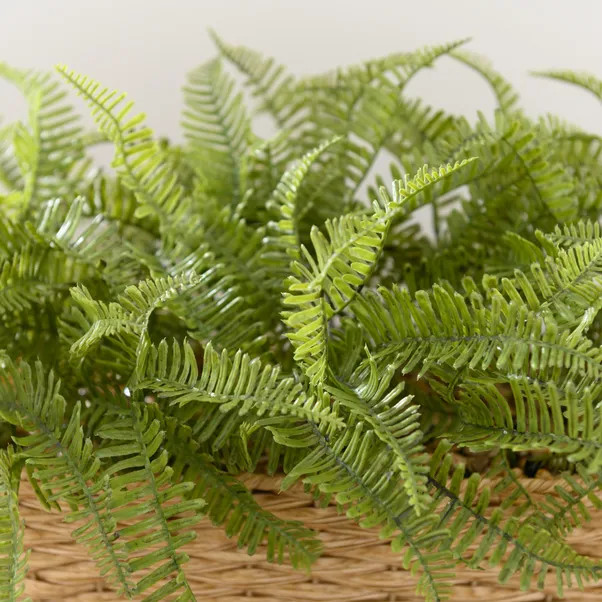 Artificial Fern Plant in Windowsill Basket | Dunelm