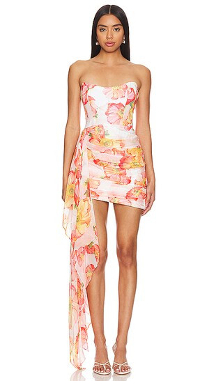 Chasing Dawn Dress in Apricot Poppy | Revolve Clothing (Global)