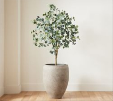 Faux Silver Dollar Eucalyptus Tree