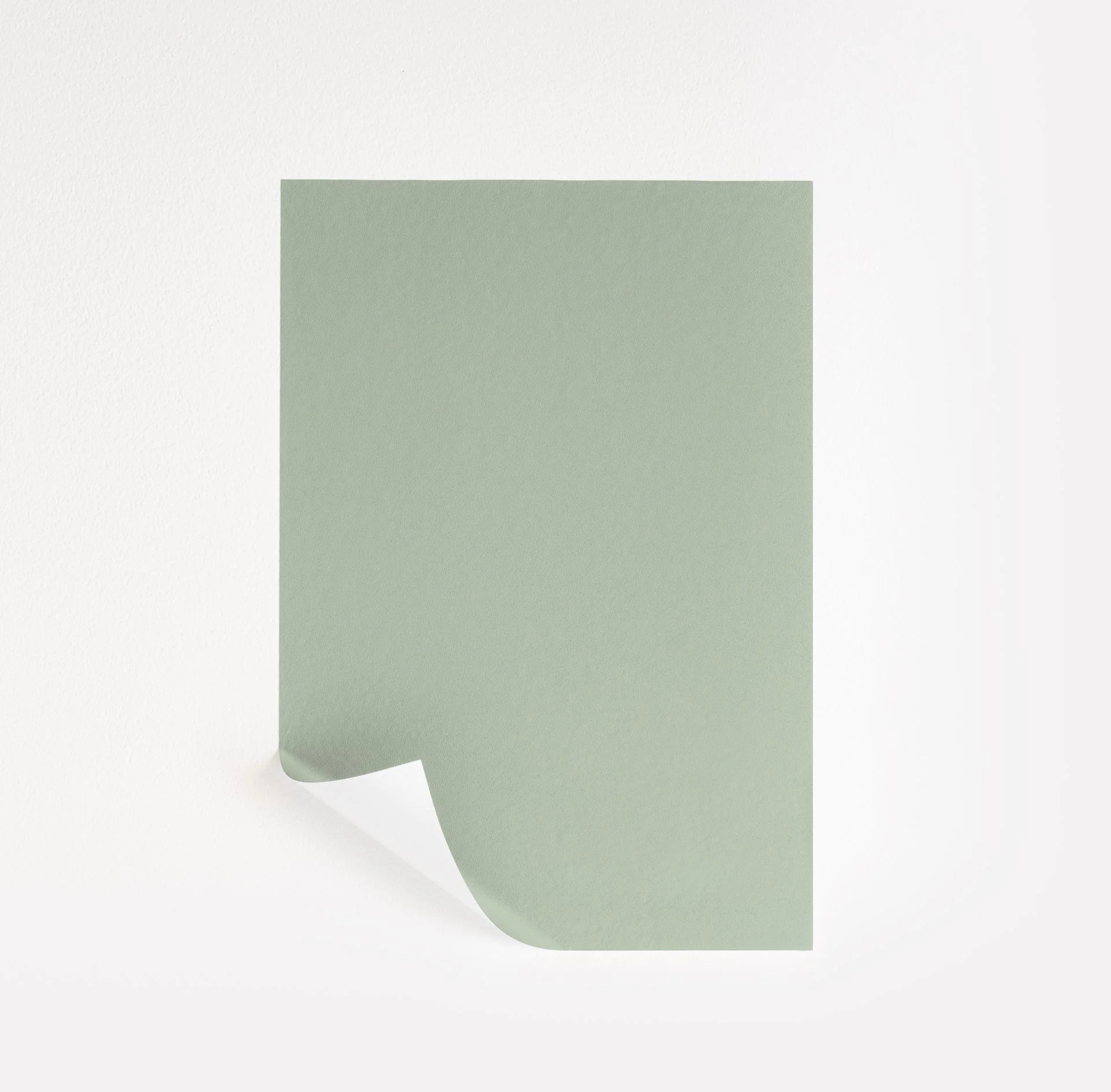 Desert Green Paint Sample by Benjamin Moore (443) | Peel & Stick Paint Sample | Samplize