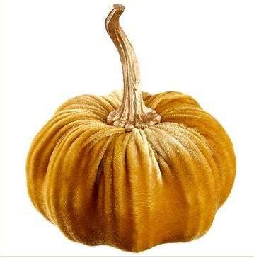 Allstate Floral and Crafts Velvet Pumpkin Amber 5.5" H x 6.5" D | Amazon (US)