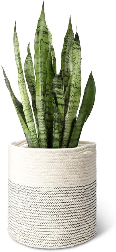 Mkono Cotton Rope Plant Basket Modern Indoor Planter Up to 11 Inch Flower Pot Woven Storage Organ... | Amazon (US)