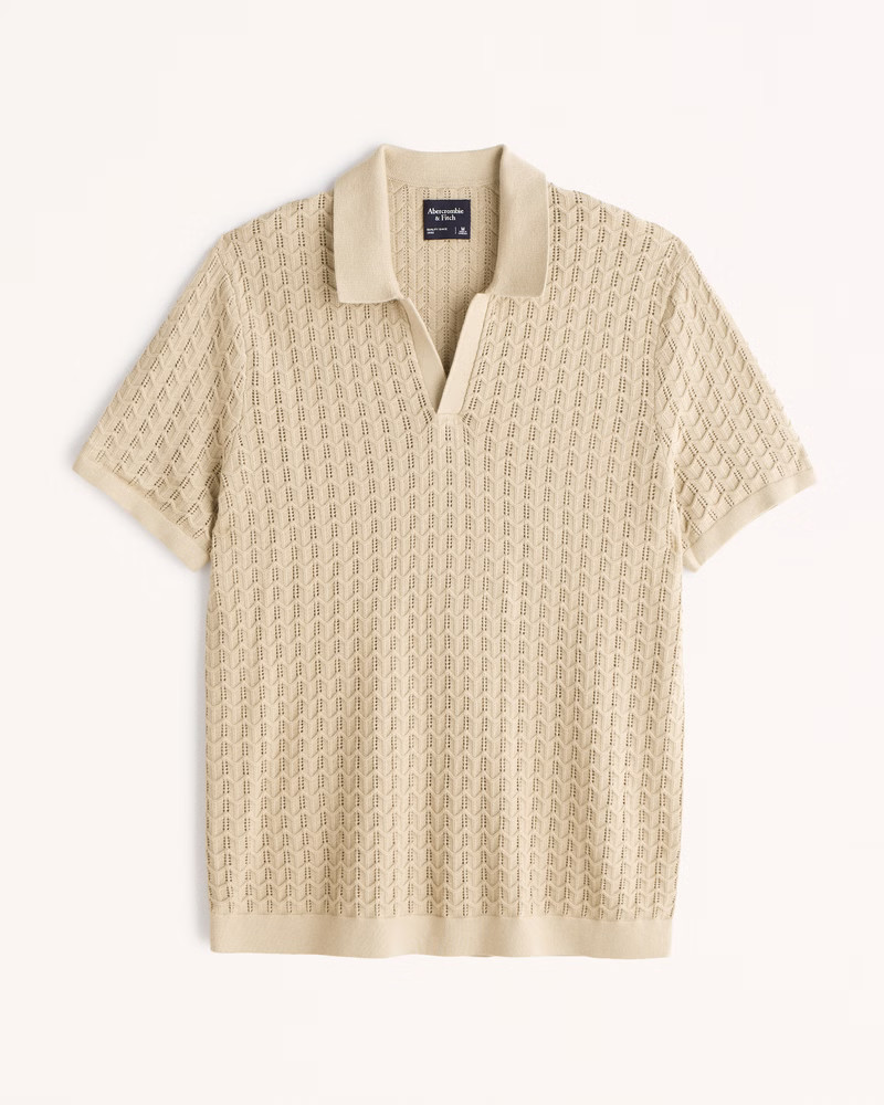 Textured Johnny Collar Sweater Polo | Abercrombie & Fitch (US)