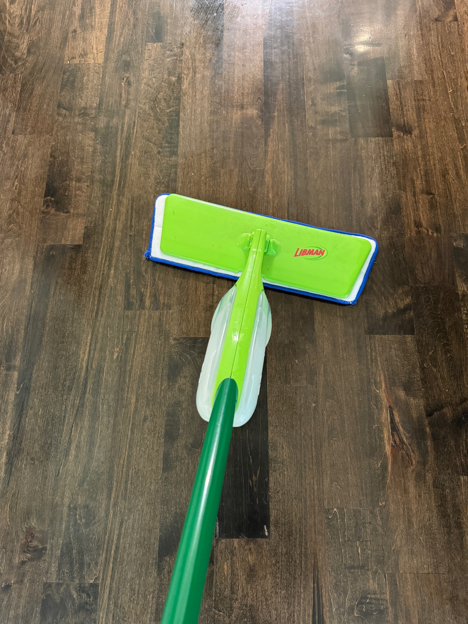 Spray mop, hardwood floor mop, lineman mop 

#LTKHome