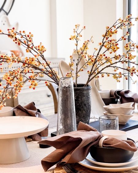Pottery barn never disappoints throughout the seasons! This is one of my favorite fall tablescapes

#LTKhome #LTKHoliday #LTKSeasonal