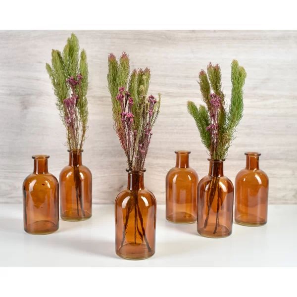 Veatch Medicine Bottle Bud Table Vase (Set of 6) | Wayfair North America