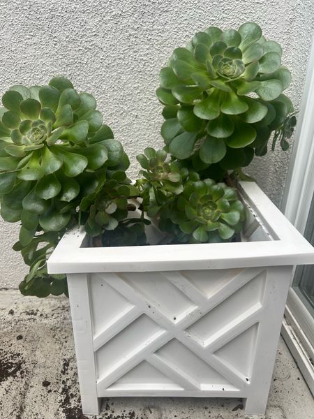 Lattice Design white Planter Box Decorative Outdoor Flower or Plant Pot – Front Porch, Patio, and Garden Decor by Pure Garden 

#LTKSeasonal #LTKhome #LTKsalealert