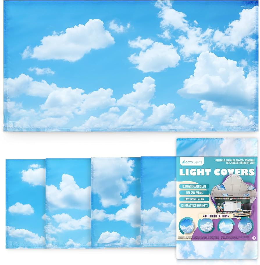 Fluorescent Light Covers for Ceiling Lights Classroom Magnetic Cloud 4pk | Amazon (US)