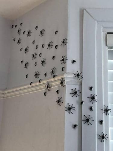 70 Pcs Halloween Spider Decorations Indoor, 4 Sizes 3D Plastic Spider Stickers Halloween Party Supplies Decorations for Home Wall Stickers Decor - Indoor Outdoor Room Window Halloween Decor | Amazon (US)
