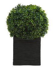 Outdoor Covered Porch Safe Topiary In Square Planter | Plants & Planters | Marshalls | Marshalls