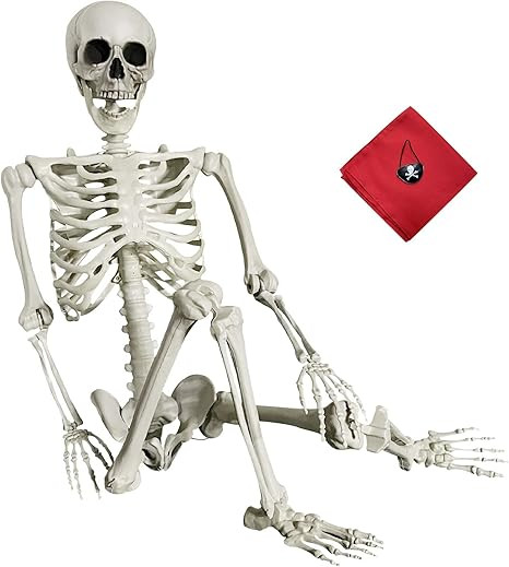 IDMOP 5.4Ft Halloween Skeleton - Life Size Skeleton Full Body Realistic Human Bones with Posable ... | Amazon (US)