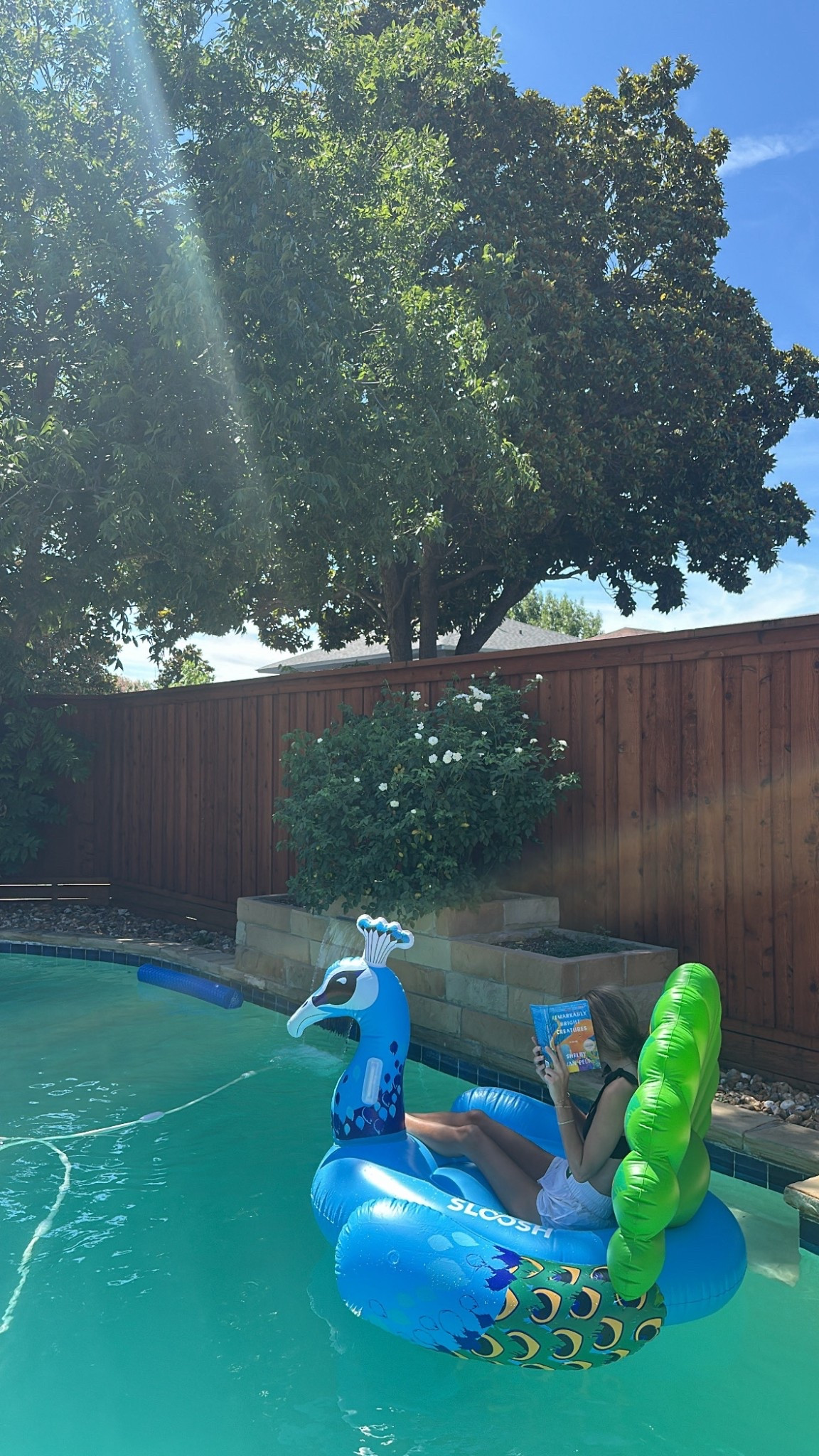 Summer necessity !!!!!!!

#LTKHome #LTKSwim #LTKSeasonal