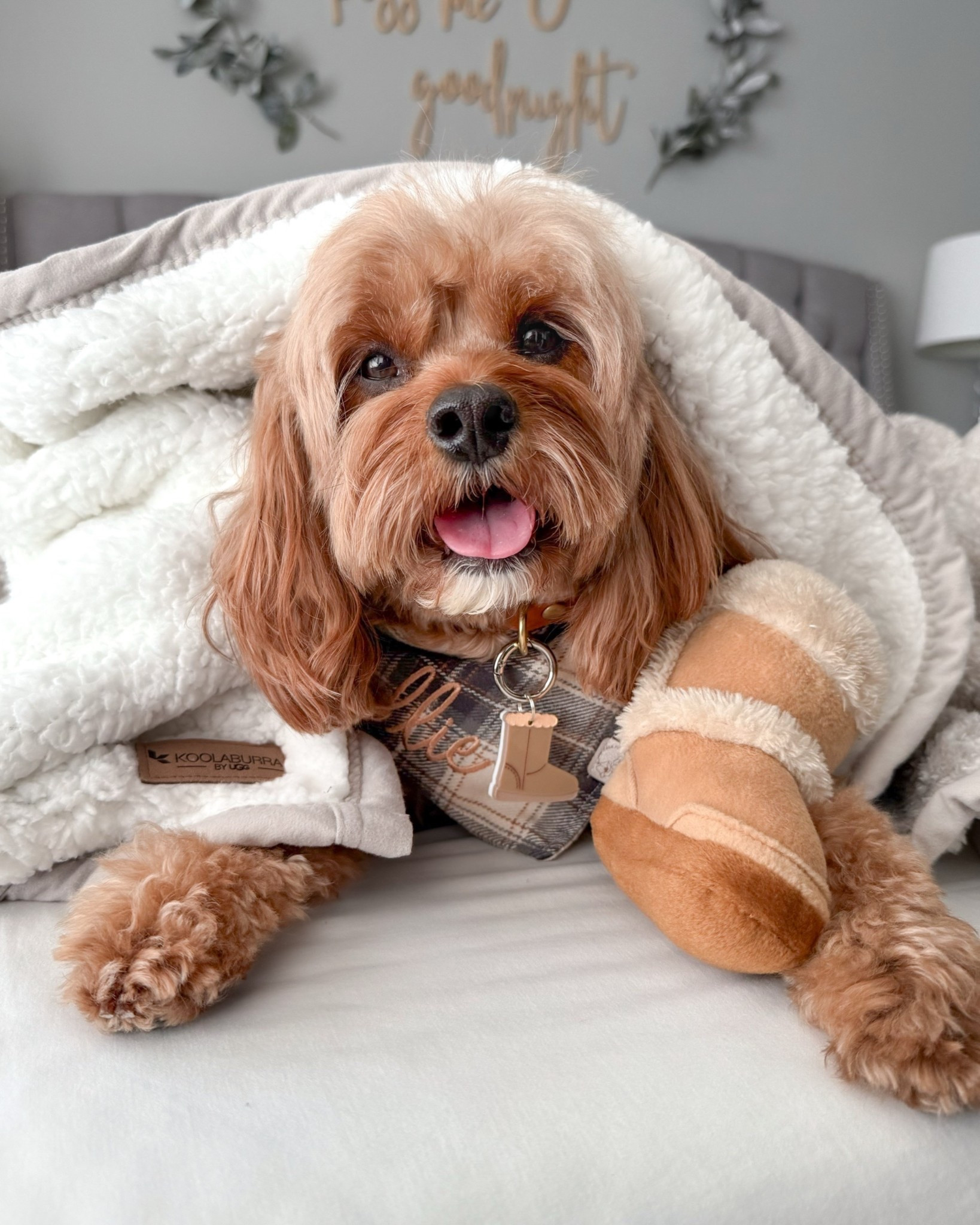 Snug as a bug with an UGG boot toy! So many of you loved this toy! It’s a must for cozy szn! Linked it below! 