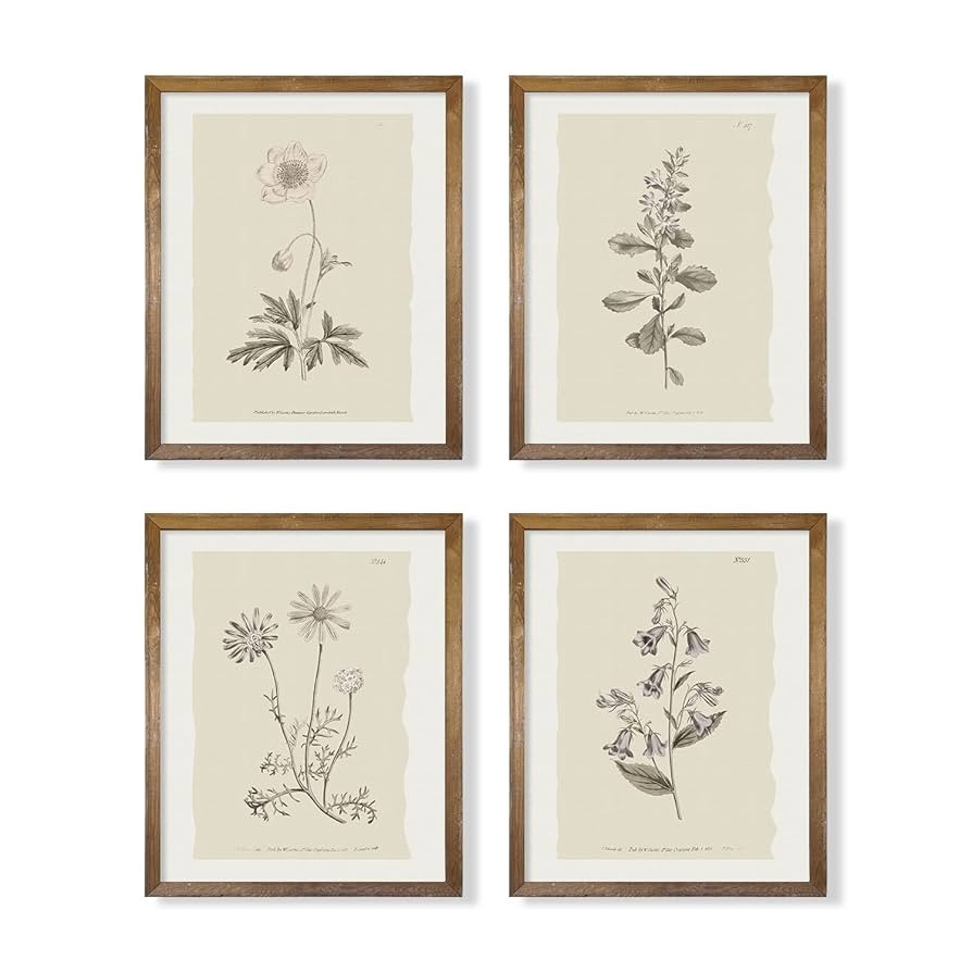 Vintage Botanical Plant Wall Art Prints - Neutral Boho Minimalist Flower Floral Posters Picture f... | Amazon (US)