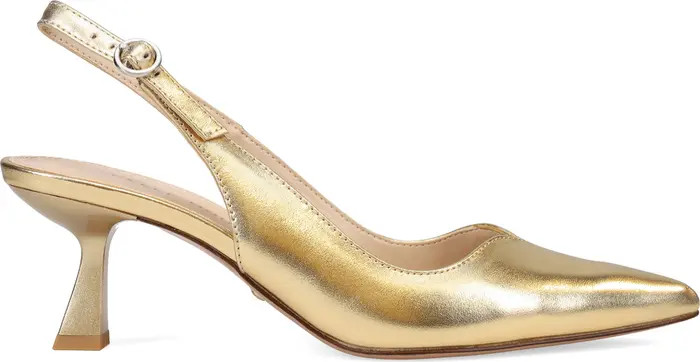 Pelle Moda Janah Slingback Pointed Toe Pump (Women) | Nordstrom | Nordstrom